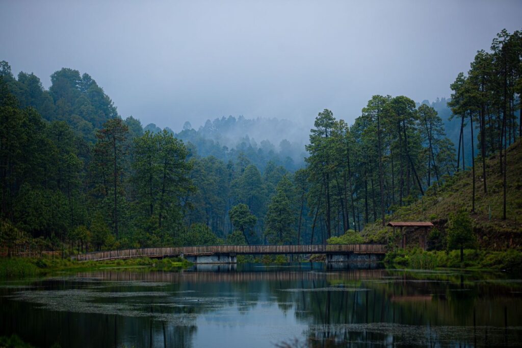 Imagen de WhatsApp 2022-12-22 a las 11.04.26