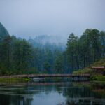 Imagen de WhatsApp 2022-12-22 a las 11.04.26