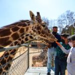 Imagen de WhatsApp 2022-12-23 a las 11.32.56