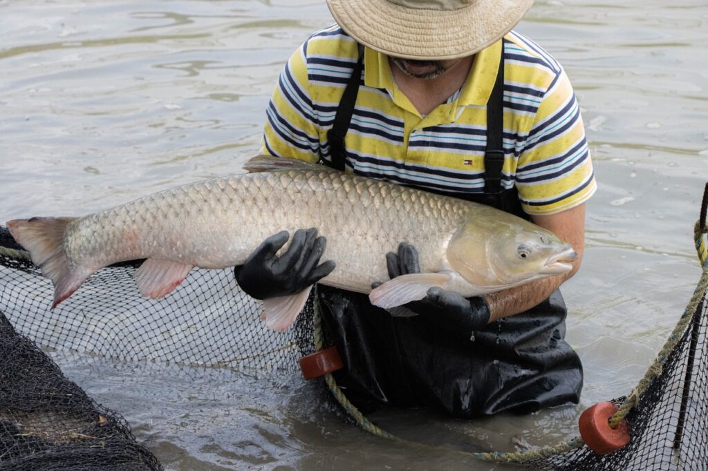 Imagen de WhatsApp 2022-12-25 a las 12.45.10