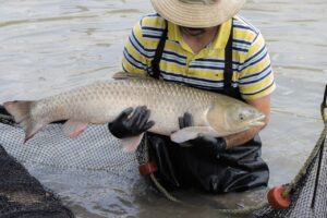 Imagen de WhatsApp 2022-12-25 a las 12.45.10