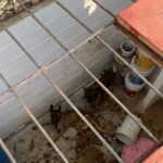 Imagen de WhatsApp 2022-12-30 a las 13.52.07