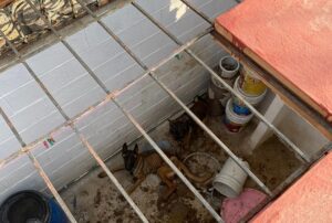 Imagen de WhatsApp 2022-12-30 a las 13.52.07