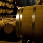 post_Cat_logo_de_Rutas_y_Productos_Enotur_sticos_de_M_xico___4_