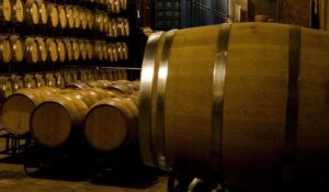 post_Cat_logo_de_Rutas_y_Productos_Enotur_sticos_de_M_xico___4_