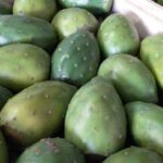 Imagen de WhatsApp 2022-12-30 a las 14.07.31