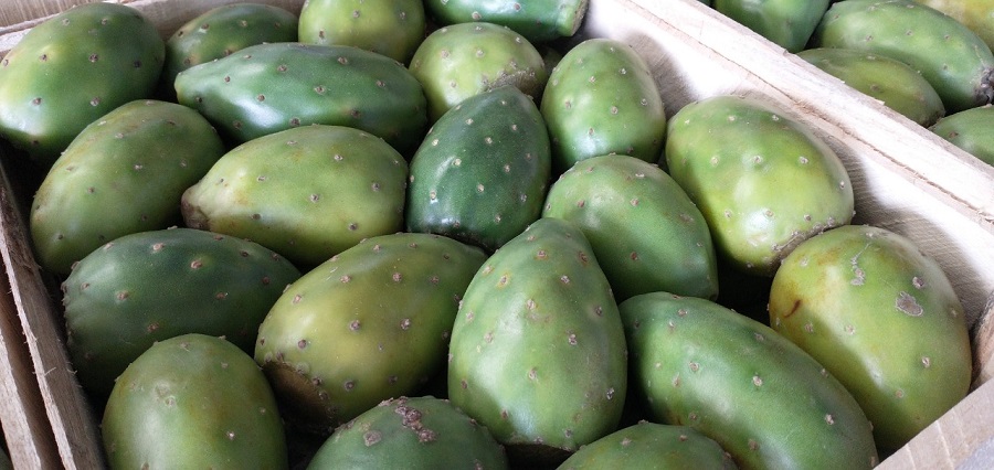 Imagen de WhatsApp 2022-12-30 a las 14.07.31