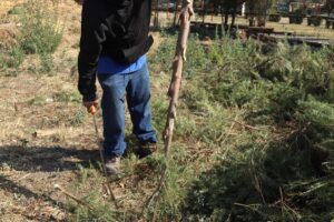 Imagen de WhatsApp 2023-01-13 a las 18.05.51