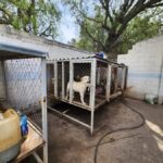 Imagen de WhatsApp 2023-01-19 a las 20.44.37