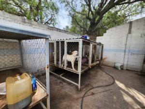 Imagen de WhatsApp 2023-01-19 a las 20.44.37