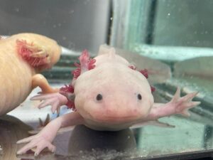 Imagen de WhatsApp 2023-01-31 a las 10.26.47