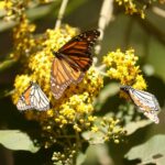 Imagen de WhatsApp 2023-02-05 a las 11.28.54