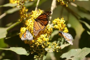 Imagen de WhatsApp 2023-02-05 a las 11.28.54