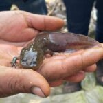 Imagen de WhatsApp 2023-02-10 a las 12.59.28