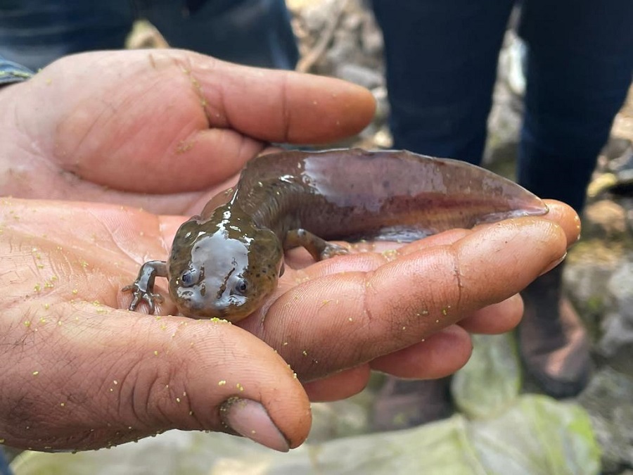 Imagen de WhatsApp 2023-02-10 a las 12.59.28