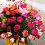 Imagen de WhatsApp 2023-02-13 a las 11.52.12