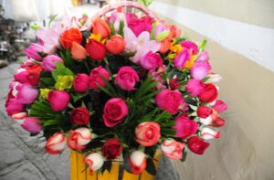 Imagen de WhatsApp 2023-02-13 a las 11.52.12