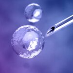 iStock_000067735225_Large