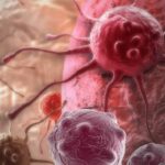 virus-contra-el-cancer-1080x475