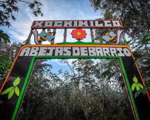 Explora Xochimilco (1)