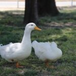 Imagen de WhatsApp 2023-03-18 a las 13.57.18