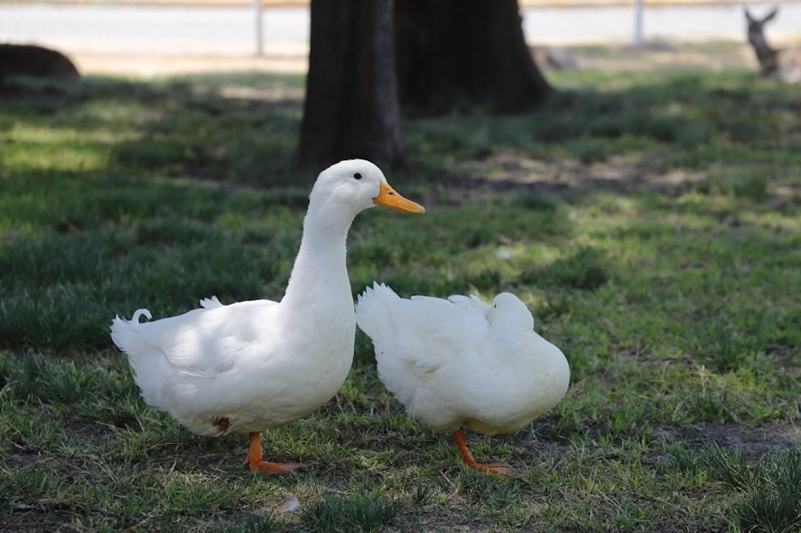 Imagen de WhatsApp 2023-03-18 a las 13.57.18