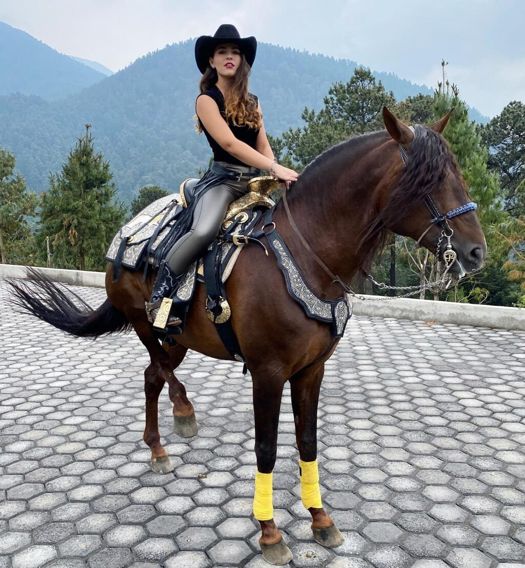 Imagen de WhatsApp 2023-04-25 a las 16.12.38