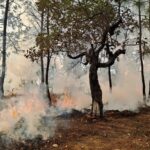 Imagen de WhatsApp 2023-04-27 a las 17.15.42