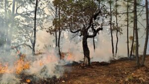 Imagen de WhatsApp 2023-04-27 a las 17.15.42