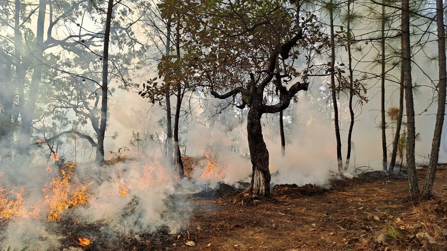 Imagen de WhatsApp 2023-04-27 a las 17.15.42