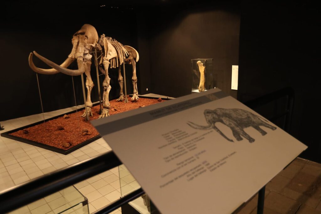 Imagen de WhatsApp 2023-04-29 a las 11.09.05