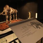 Imagen de WhatsApp 2023-04-29 a las 11.09.05