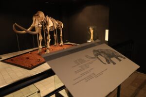 Imagen de WhatsApp 2023-04-29 a las 11.09.05