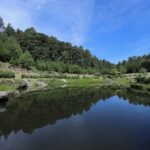 Imagen de WhatsApp 2023-06-16 a las 12.49.44