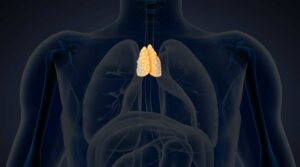 immunidad-en-todas-formulas-1200x669