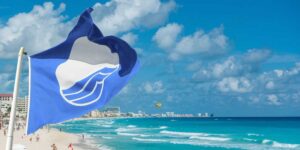 mexico_distintivo_blue_flag