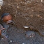 post_WhatsApp_Image_2023-06-10_at_13.27.27