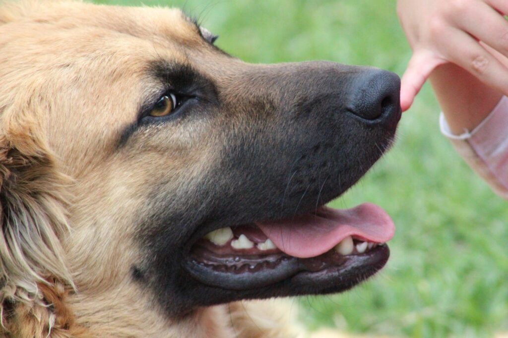 Imagen de WhatsApp 2023-07-05 a las 14.42.47