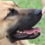 Imagen de WhatsApp 2023-07-05 a las 14.42.47