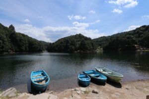 Imagen de WhatsApp 2023-07-19 a las 12.01.17