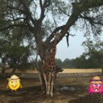 Imagen de WhatsApp 2023-07-21 a las 12.06.42