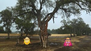 Imagen de WhatsApp 2023-07-21 a las 12.06.42