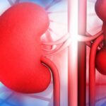 red-and-blue-kidneys