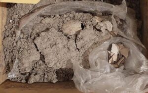 Imagen de WhatsApp 2023-08-09 a las 12.40.01