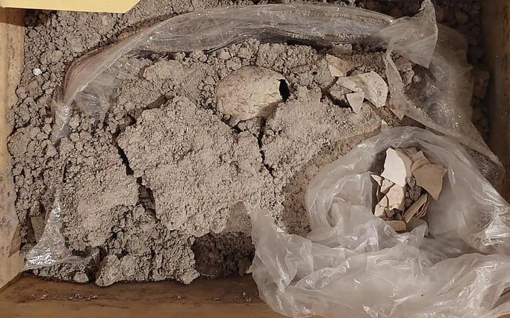 Imagen de WhatsApp 2023-08-09 a las 12.40.01