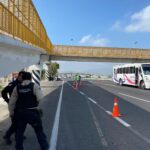 Imagen de WhatsApp 2023-09-07 a las 09.48.15