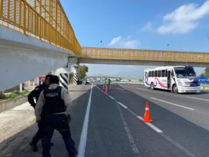 Imagen de WhatsApp 2023-09-07 a las 09.48.15