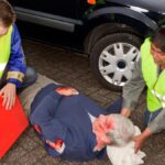 _movilizacion-accidente-trafico