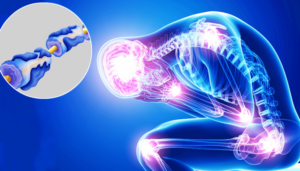 649f3ad291158b2e386375d2