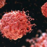 6266b35bb7155.r_d.4501-2333-1656